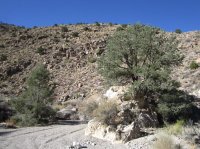 IMG_7997.JPG IMG_7997.JPG