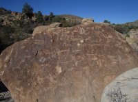 IMG_8100.JPG IMG_8100.JPG