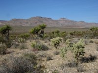 IMG_8217.JPG IMG_8217.JPG