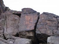 IMG_8229.JPG IMG_8229.JPG