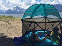 IMG_0398.JPG IMG_0398.JPG