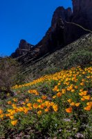 Grass Canyon-103.jpg