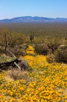 Grass Canyon-122.jpg