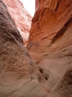 IMG_6733 [1024x768].JPG