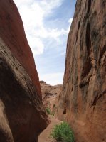 IMG_6673 [1024x768].JPG