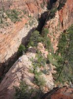 IMG_7105 [1024x768].JPG