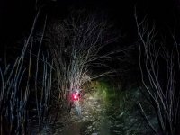 texcreek-215343.jpg texcreek-215343.jpg