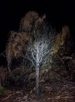 texcreek-215821.jpg texcreek-215821.jpg