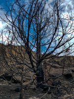 texcreek-115427.jpg texcreek-115427.jpg