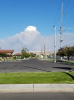 smokeammon.jpg smokeammon.jpg