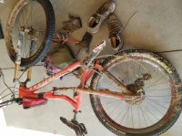 20161016_115907.jpg 20161016_115907.jpg