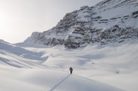 IMGP7846-copy copy.jpg