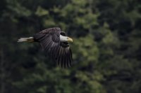 Rondout Eale Chase--21.jpeg