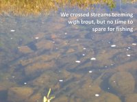 Slide17.JPG Slide17.JPG