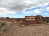 IMG_8448.JPG IMG_8448.JPG