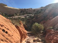 IMG_7386.JPG IMG_7386.JPG