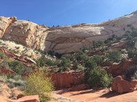 IMG_7821.JPG IMG_7821.JPG