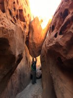 IMG_8213.JPG IMG_8213.JPG