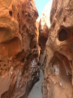 IMG_1412.JPG IMG_1412.JPG