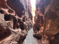 IMG_3196.JPG IMG_3196.JPG