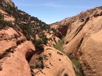 IMG_1705.JPG IMG_1705.JPG