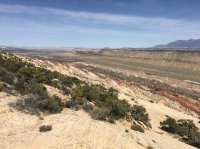 IMG_2620.JPG IMG_2620.JPG