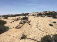 IMG_5968.JPG IMG_5968.JPG