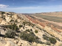 IMG_9010.JPG IMG_9010.JPG