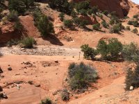 IMG_0280.JPG IMG_0280.JPG