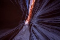 IMG_1399 Arscenic.jpg