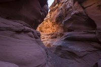 IMG_1505 moonshine.jpg