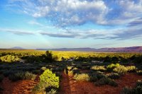 DSC00245.jpg DSC00245.jpg