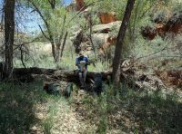 DSC00256.jpg DSC00256.jpg