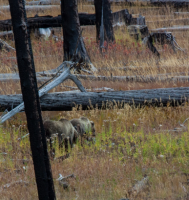 upload_2017-4-27_20-40-9.png upload_2017-4-27_20-40-9.png