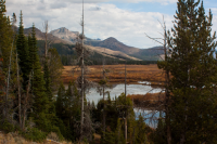 upload_2017-4-27_20-42-58.png upload_2017-4-27_20-42-58.png