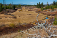 upload_2017-4-27_20-44-55.png upload_2017-4-27_20-44-55.png