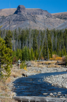 upload_2017-4-27_20-46-17.png upload_2017-4-27_20-46-17.png