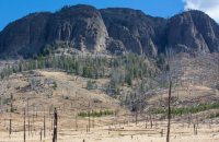 upload_2017-4-27_20-48-23.png upload_2017-4-27_20-48-23.png