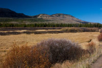 upload_2017-4-27_20-49-2.png upload_2017-4-27_20-49-2.png