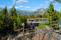 upload_2017-4-27_20-51-28.png upload_2017-4-27_20-51-28.png