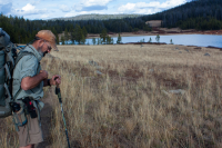 upload_2017-4-27_20-52-45.png upload_2017-4-27_20-52-45.png