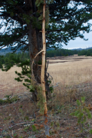 upload_2017-4-27_20-54-5.png upload_2017-4-27_20-54-5.png