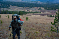 upload_2017-4-27_20-54-20.png upload_2017-4-27_20-54-20.png