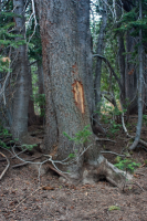 upload_2017-4-27_20-55-5.png upload_2017-4-27_20-55-5.png