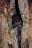 upload_2017-4-27_20-55-22.png upload_2017-4-27_20-55-22.png