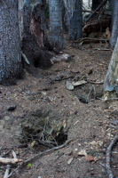 upload_2017-4-27_20-55-47.png upload_2017-4-27_20-55-47.png