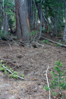 upload_2017-4-27_20-56-3.png upload_2017-4-27_20-56-3.png