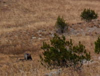 upload_2017-4-27_20-56-20.png upload_2017-4-27_20-56-20.png