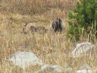 upload_2017-4-27_20-56-33.png upload_2017-4-27_20-56-33.png