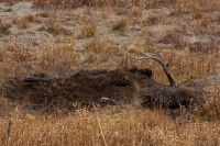 upload_2017-4-27_20-56-59.png upload_2017-4-27_20-56-59.png